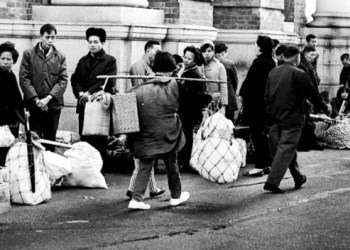 What We Carry When We Leave A Reflection on Migration, Memory, and the Shape of Home