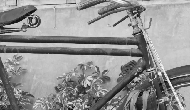 “Three Must-Have Treasures”: A Collective Dream in 1970s and 1980s China