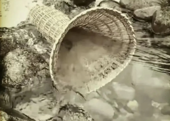 “Childhood Memories: Fishing with the Fish Basket”