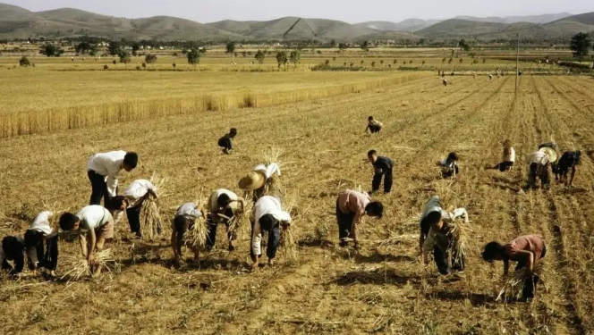 “Security Armed Forces” in the Collective Era: A Small Village Memory
